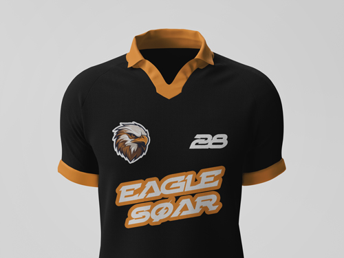 Sports Jersey Closeup View