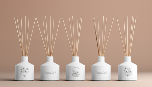 Minimalistic Room Decor Setup