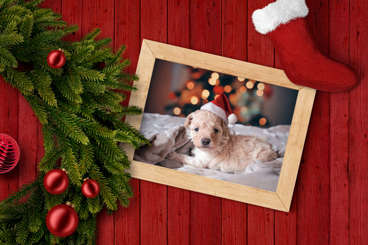 Christmas Wreath and a Photo Frame