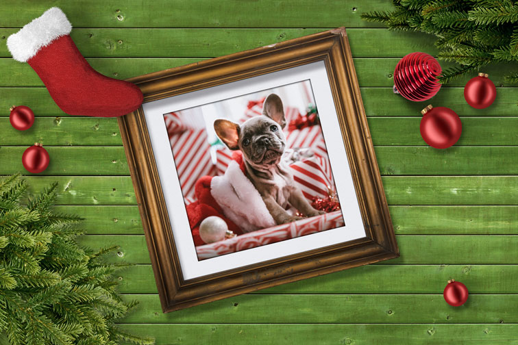 Retro Photo Frame on a Christmas Background