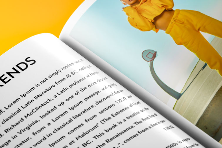 Magazine with Zoom-in View