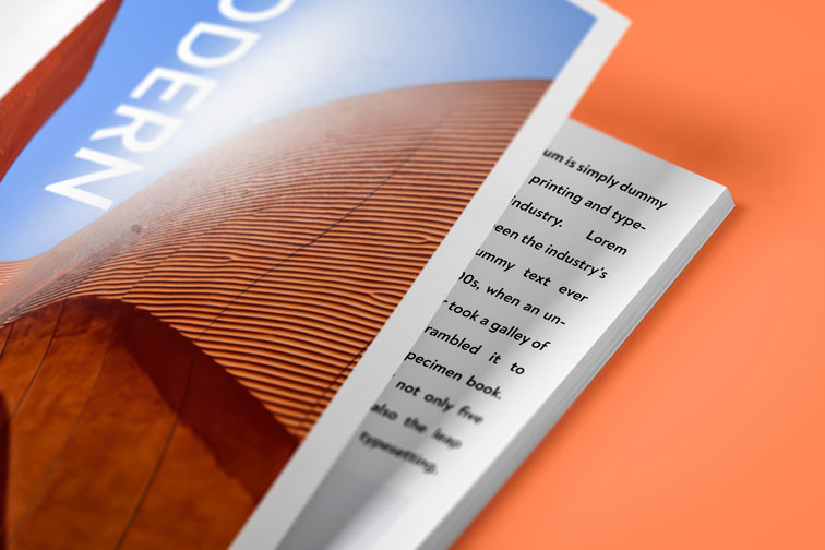 Magazine Page Close-up View