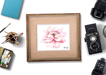 Creative Workspace Pack