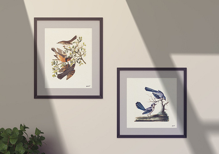 Minimal Art Frame Mockups