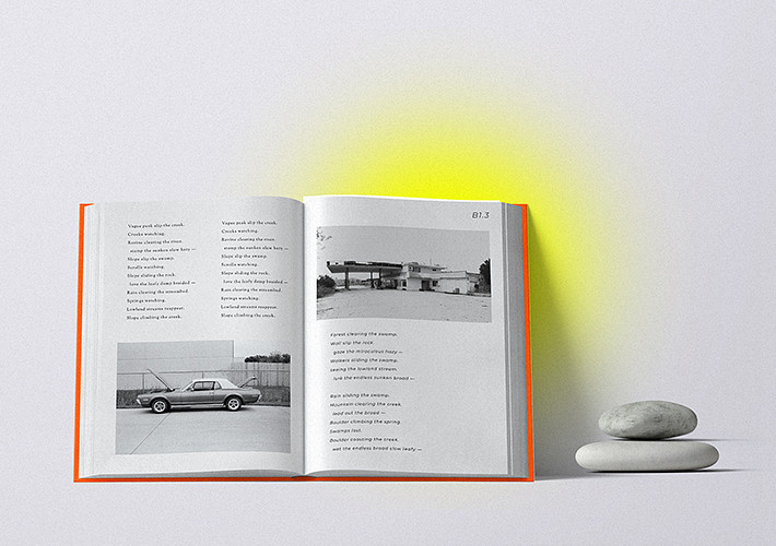 Book Cover & Book Release Mockup Set