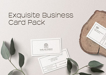 Exquisite Business Card Pack