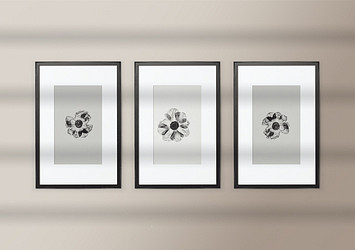 Modern Wall Frame Mockups