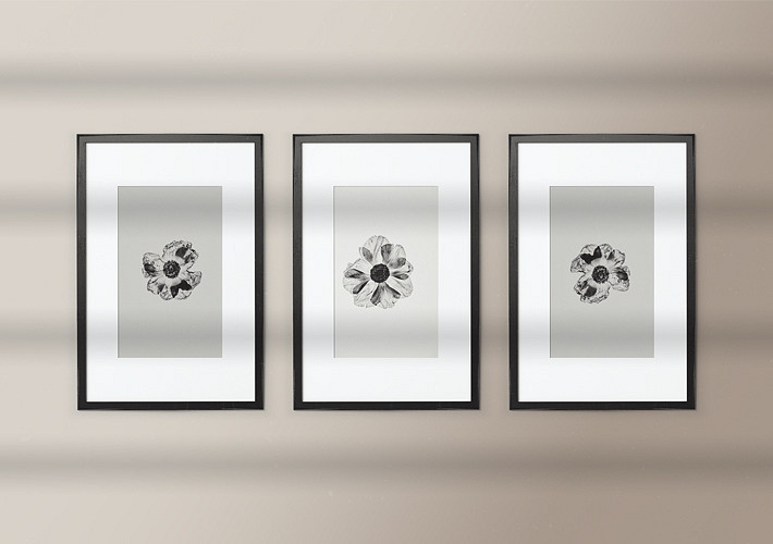 Modern Wall Frame Mockups