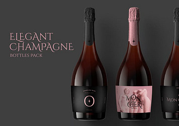 Elegant Champagne Bottles Pack