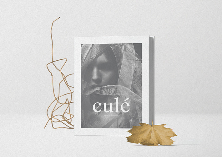 Pack de mockups de livres de mode