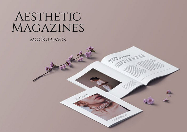 Aesthetic Magazines Mockups