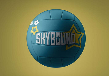 Sports Ball Collection Variety