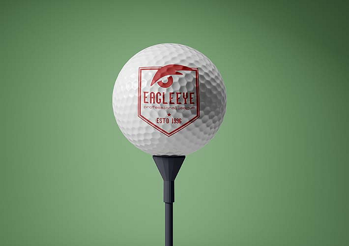 Sports Ball Collection Variety