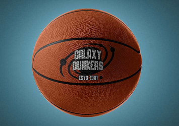 Sports Ball Collection Variety