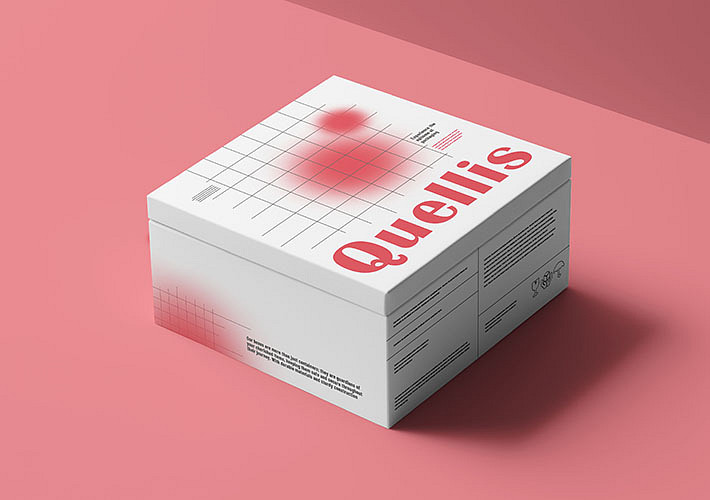 Branding Box Mockups