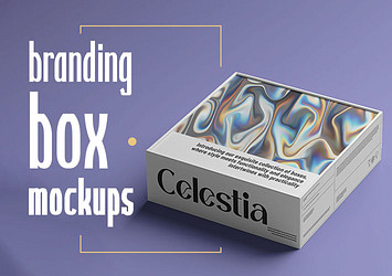 Branding Box Mockups