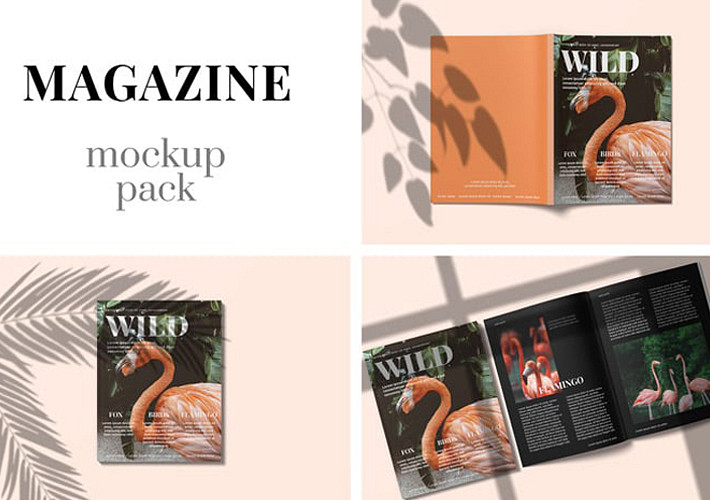 Magazine Mockup Pack
