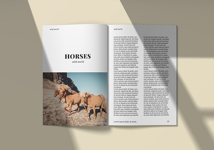 Magazine Mockup Pack