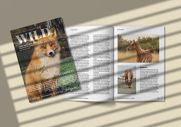 Magazine Mockup Pack