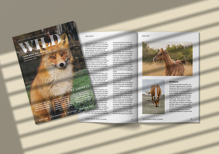 Magazine Mockup Pack