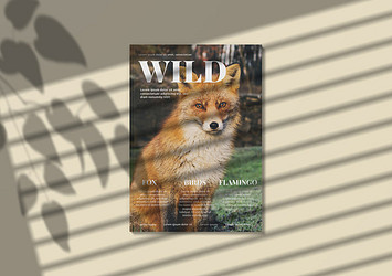 Magazine Mockup Pack