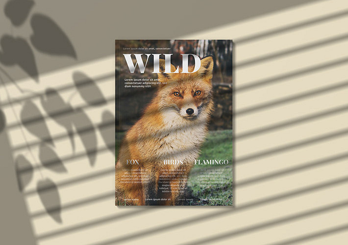 Magazine Mockup Pack