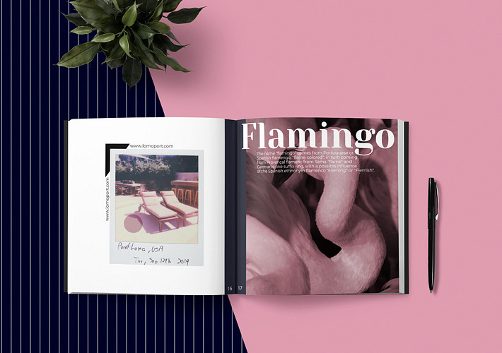 Patterned Magazine Mockups
