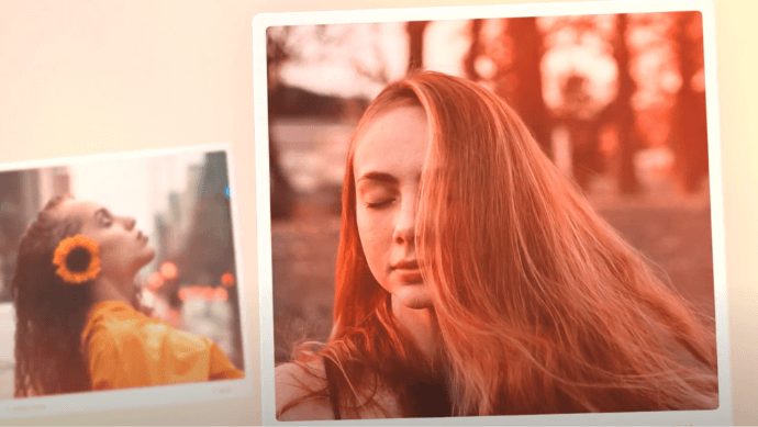 Polaroid Photo Gallery