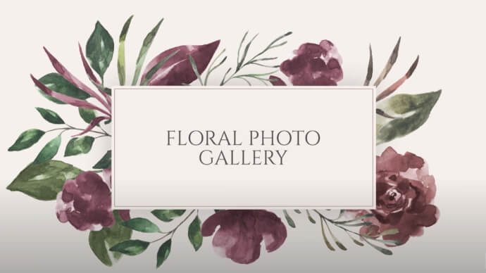 Floral Photo Gallery